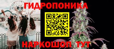герыч Гатчина
