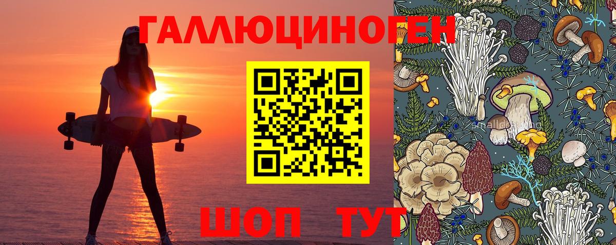 Кинель  Галлюциногенные грибы прущие грибы  Вход с VPN 