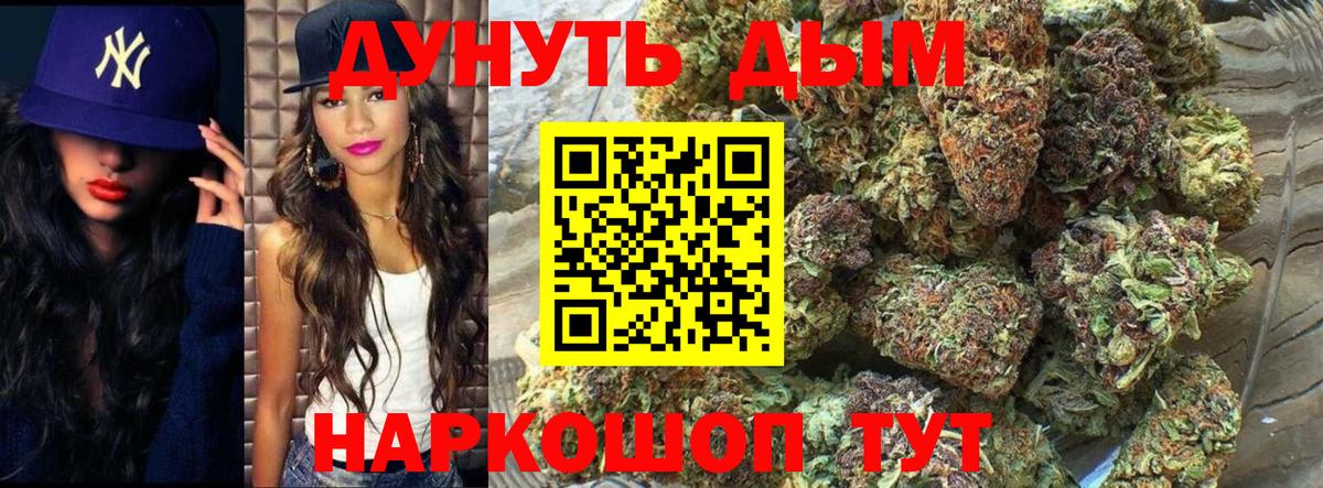 Бошки Шишки семена  Вход с VPN  Шишки марихуана Bruce Banner  МАРИХУАНА планчик  Канабис индика  Кинель 